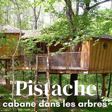 Les Cabanes De Fontfroide Saint-Antoine  Eksteriør billede