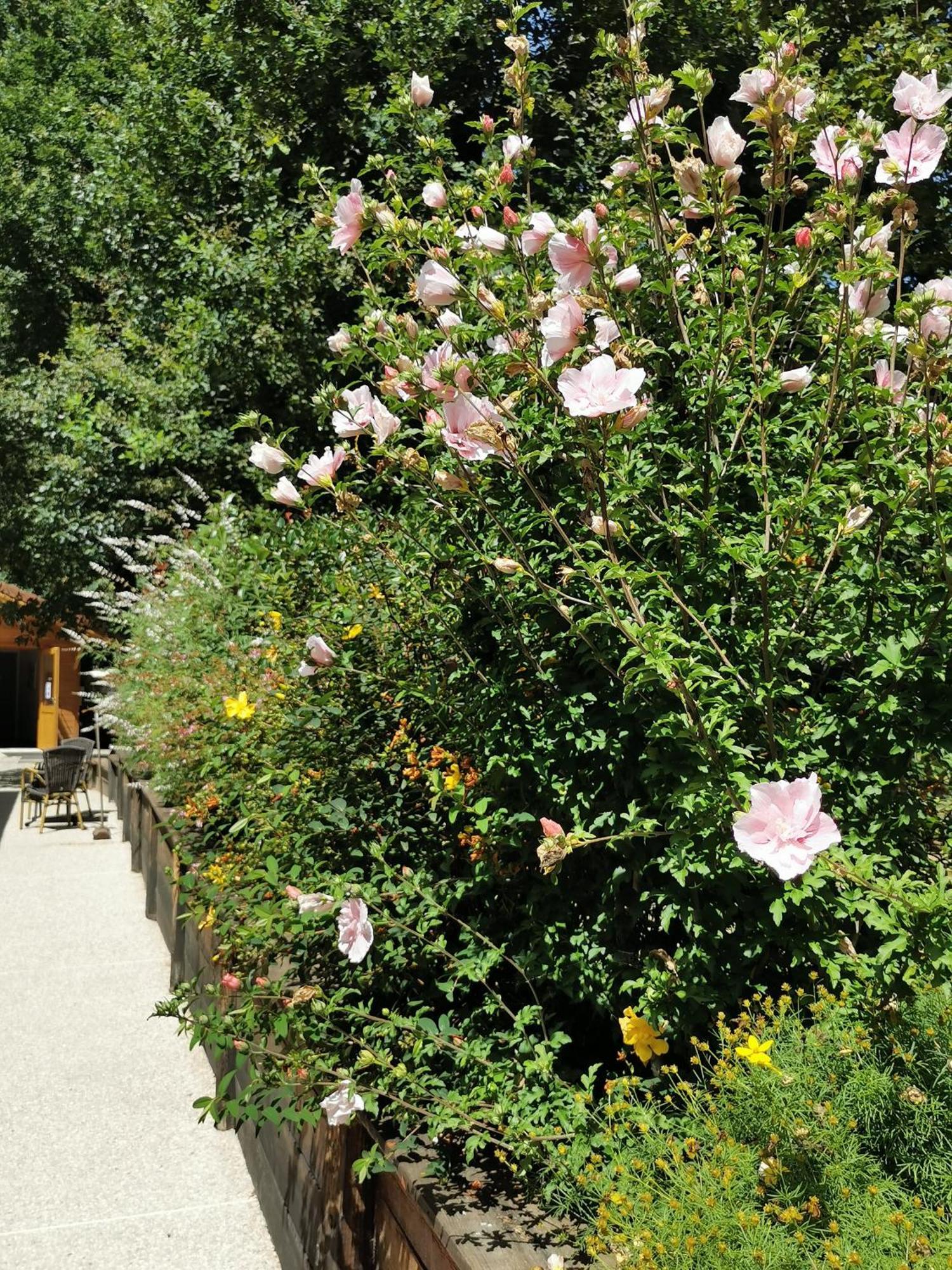 Les Cabanes De Fontfroide Saint-Antoine  Eksteriør billede